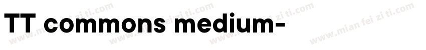 TT commons medium字体转换